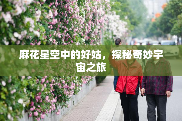麻花星空中的好姑，探秘奇妙宇宙之旅