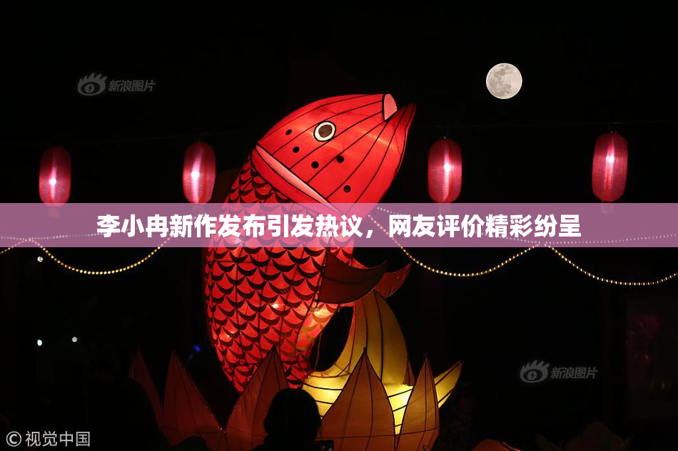 李小冉新作发布引发热议，网友评价精彩纷呈