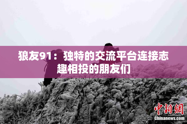 狼友91：独特的交流平台连接志趣相投的朋友们