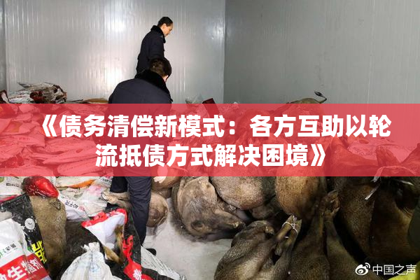 《债务清偿新模式：各方互助以轮流抵债方式解决困境》