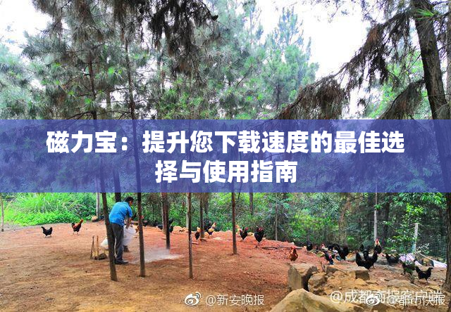 磁力宝：提升您下载速度的最佳选择与使用指南