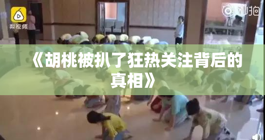 《胡桃被扒了狂热关注背后的真相》