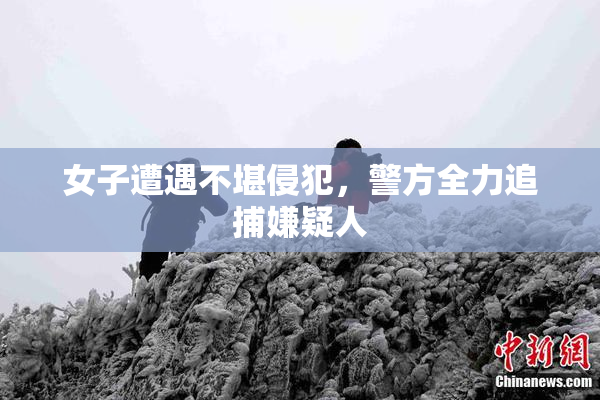 女子遭遇不堪侵犯，警方全力追捕嫌疑人