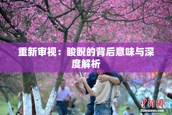 重新审视：睃睨的背后意味与深度解析