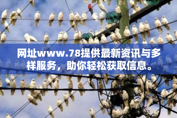 网址www.78提供最新资讯与多样服务，助你轻松获取信息。