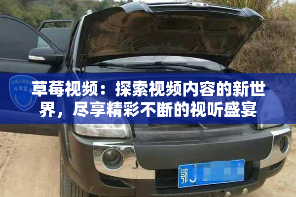 草莓视频：探索视频内容的新世界，尽享精彩不断的视听盛宴