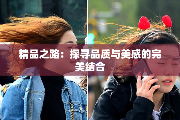 精品之路：探寻品质与美感的完美结合