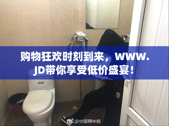 购物狂欢时刻到来，WWW.JD带你享受低价盛宴！