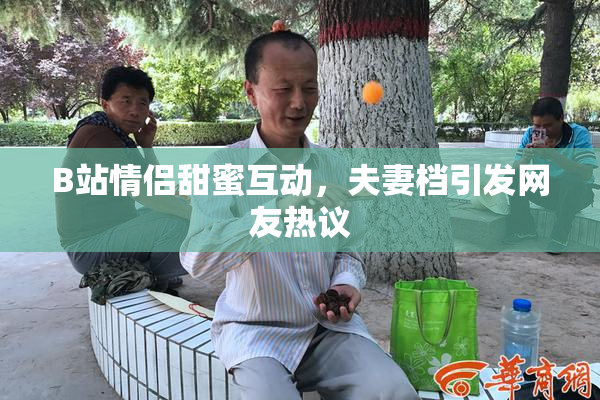 B站情侣甜蜜互动，夫妻档引发网友热议
