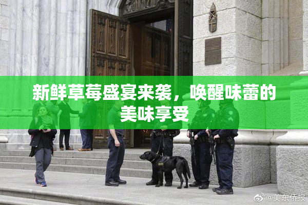 新鲜草莓盛宴来袭，唤醒味蕾的美味享受