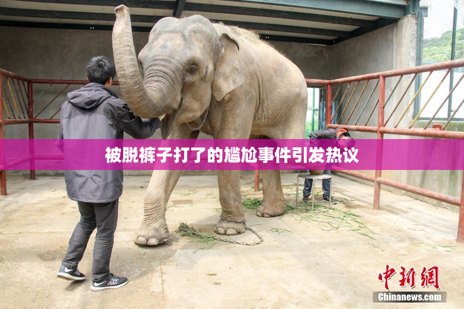 被脱裤子打了的尴尬事件引发热议