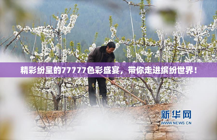 精彩纷呈的77777色彩盛宴，带你走进缤纷世界！
