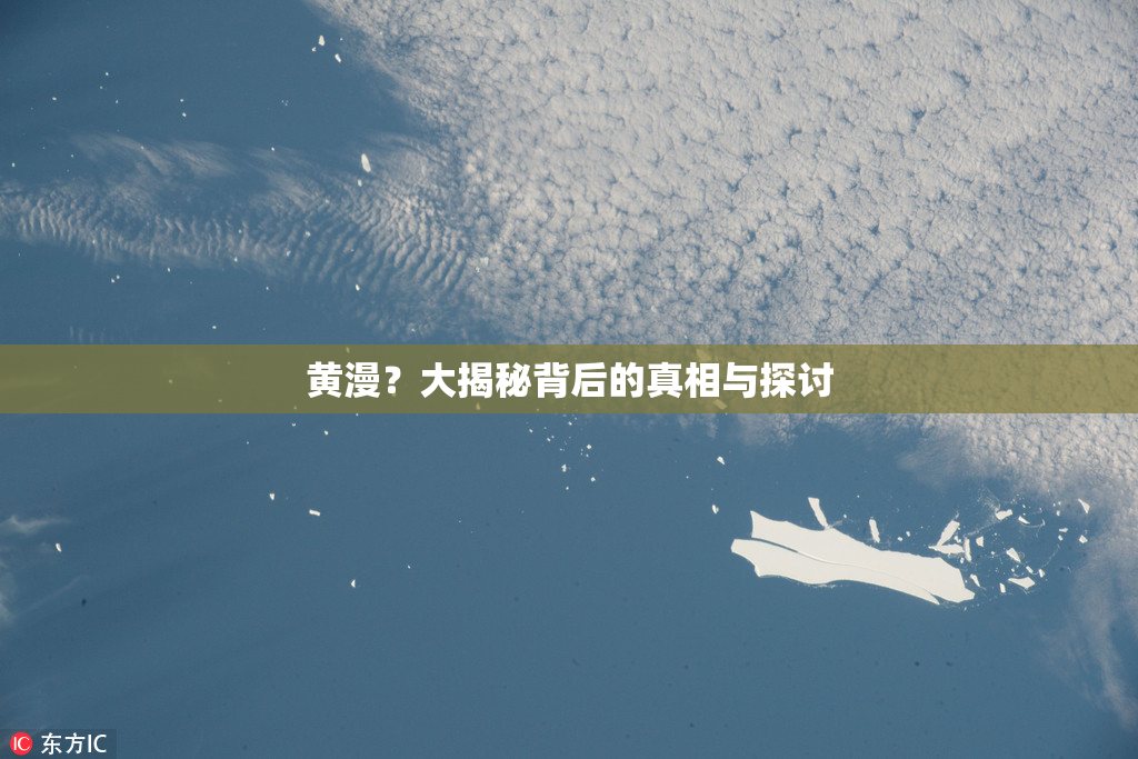 黄漫？大揭秘背后的真相与探讨