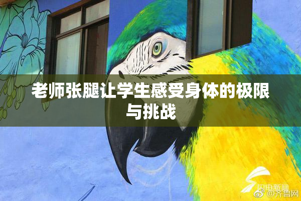 老师张腿让学生感受身体的极限与挑战