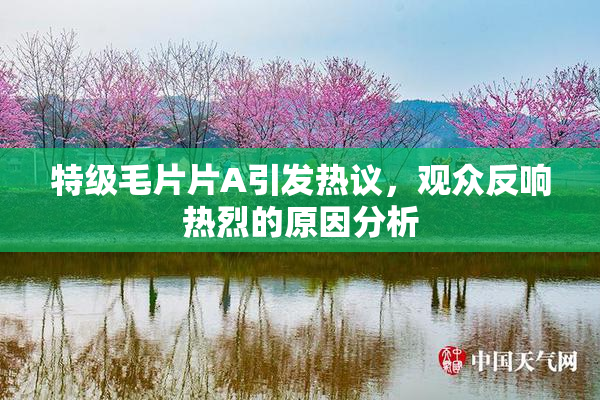 特级毛片片A引发热议，观众反响热烈的原因分析