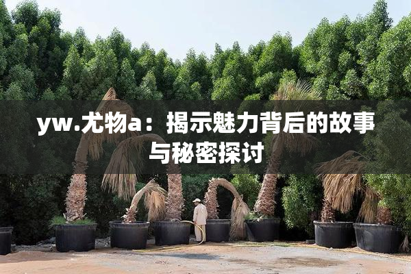 yw.尤物a：揭示魅力背后的故事与秘密探讨