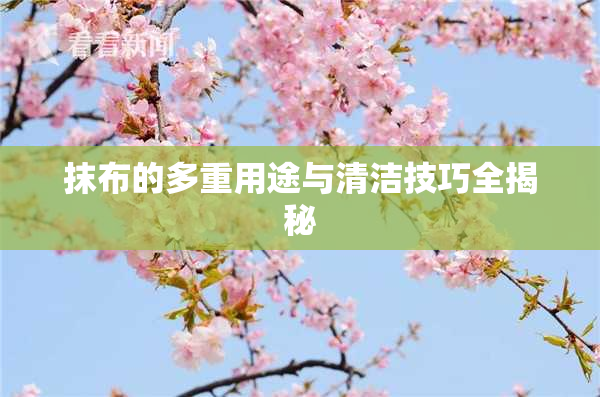 抹布的多重用途与清洁技巧全揭秘