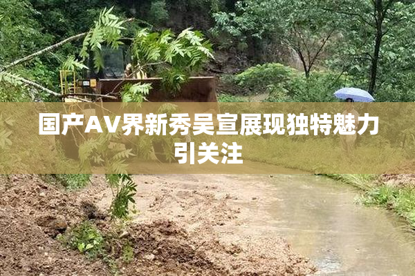 国产AV界新秀吴宣展现独特魅力引关注