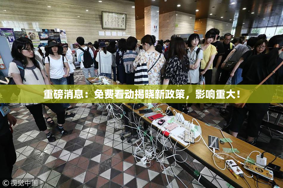 重磅消息：免费看动揭晓新政策，影响重大！