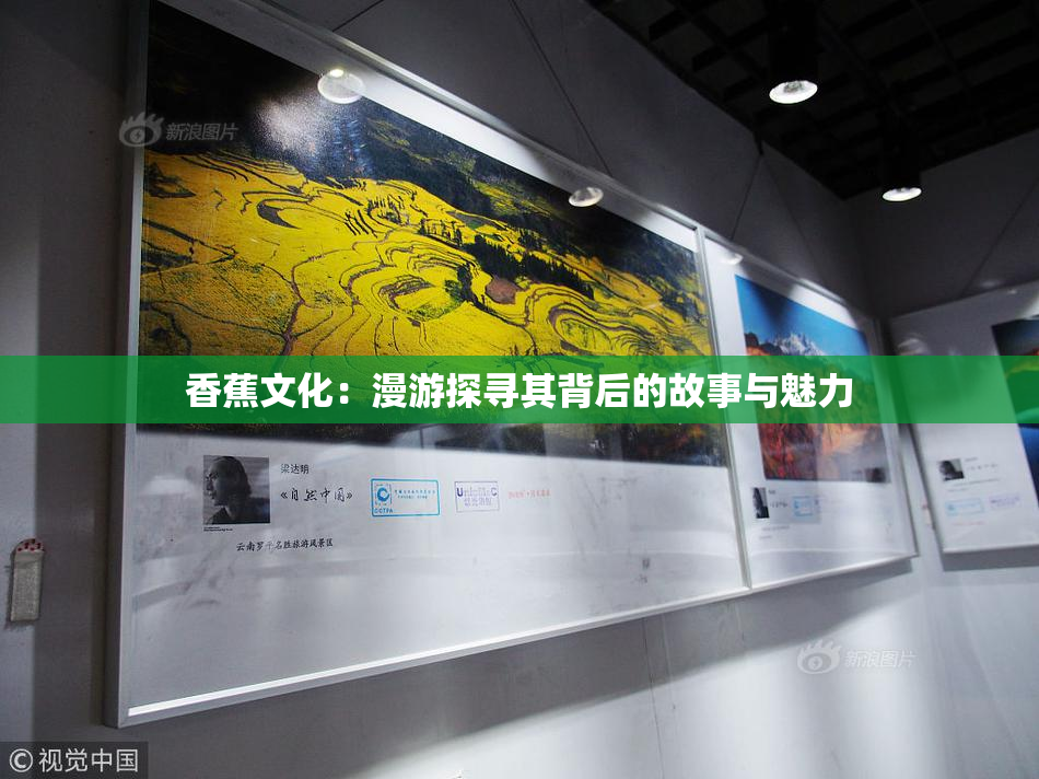 香蕉文化：漫游探寻其背后的故事与魅力