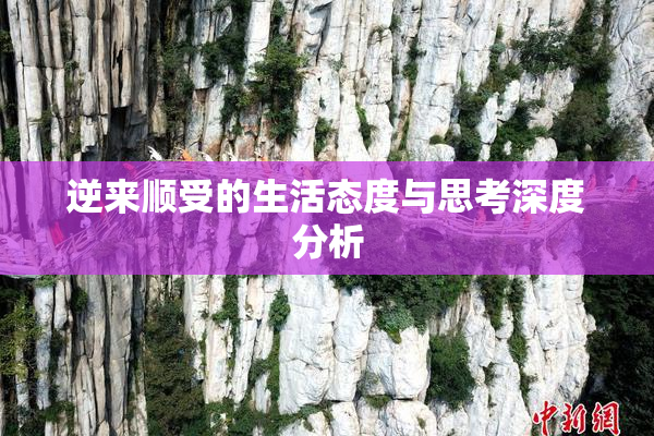 逆来顺受的生活态度与思考深度分析
