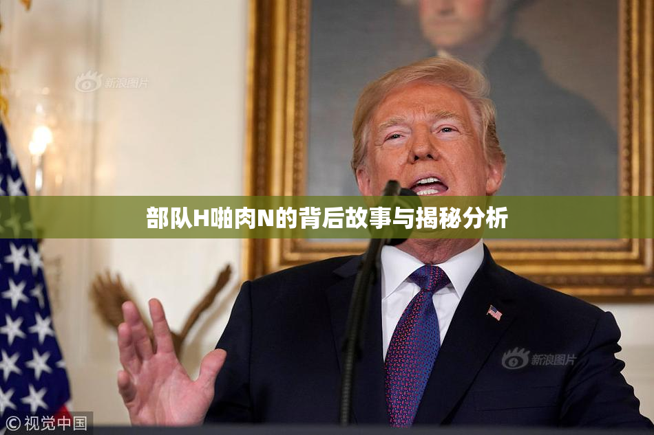 部队H啪肉N的背后故事与揭秘分析