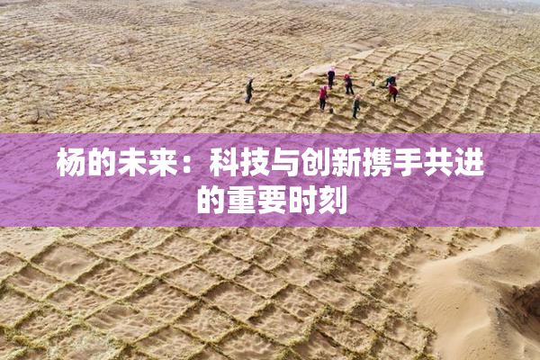 杨的未来：科技与创新携手共进的重要时刻