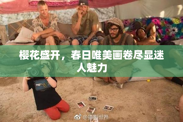 樱花盛开，春日唯美画卷尽显迷人魅力