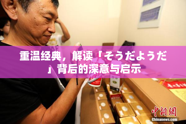 重温经典，解读「そうだようだ」背后的深意与启示