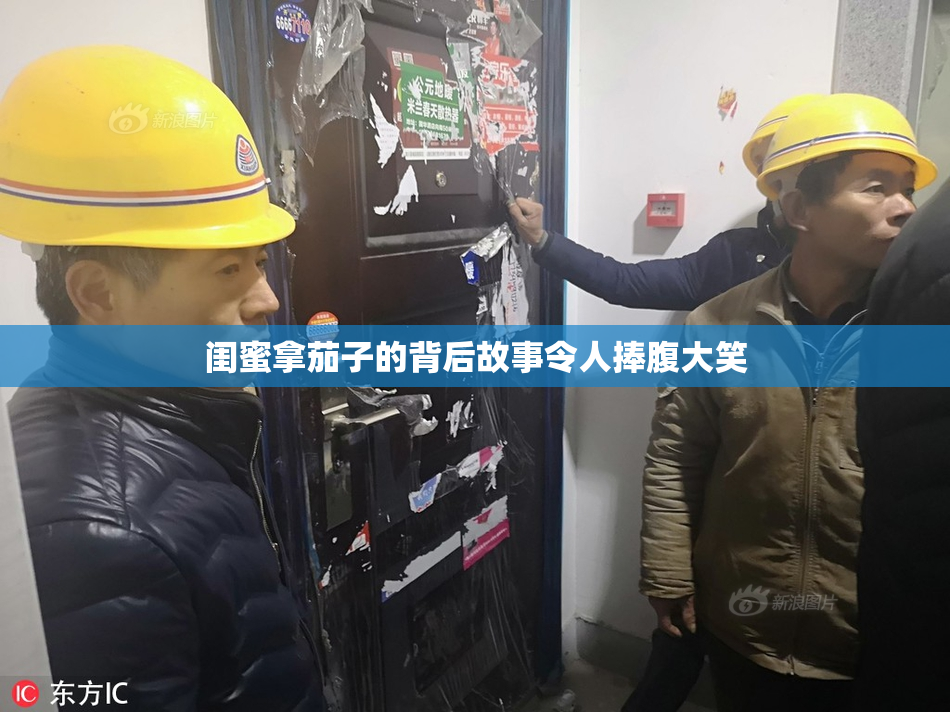 闺蜜拿茄子的背后故事令人捧腹大笑