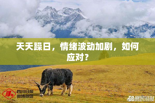 天天躁日，情绪波动加剧，如何应对？