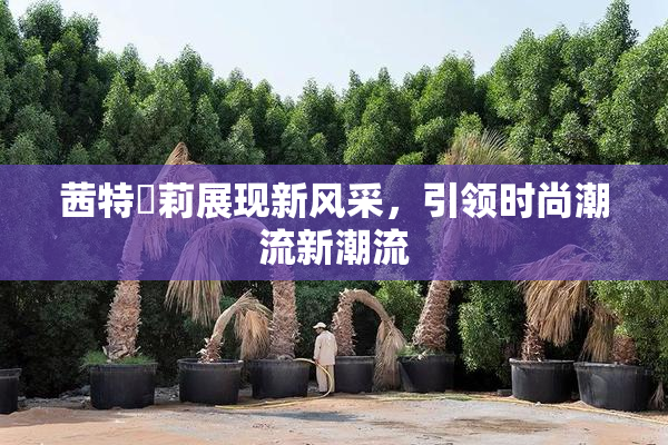 茜特菈莉展现新风采，引领时尚潮流新潮流