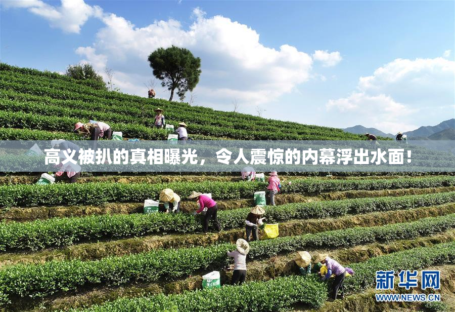 高义被扒的真相曝光，令人震惊的内幕浮出水面！