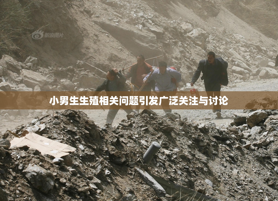 小男生生殖相关问题引发广泛关注与讨论