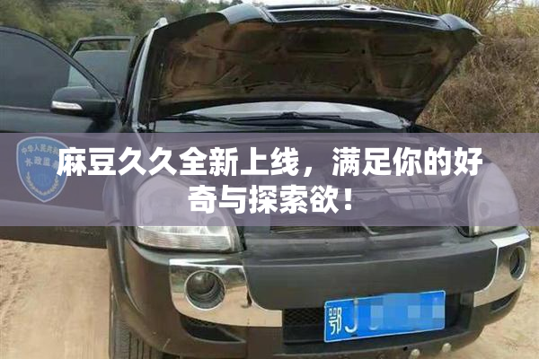 麻豆久久全新上线，满足你的好奇与探索欲！