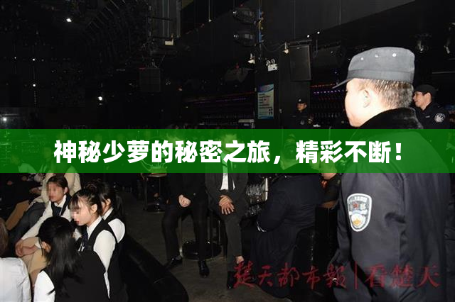 神秘少萝的秘密之旅，精彩不断！