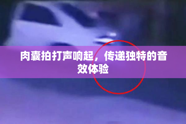 肉囊拍打声响起，传递独特的音效体验