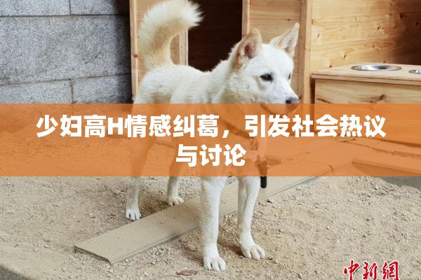 少妇高H情感纠葛，引发社会热议与讨论