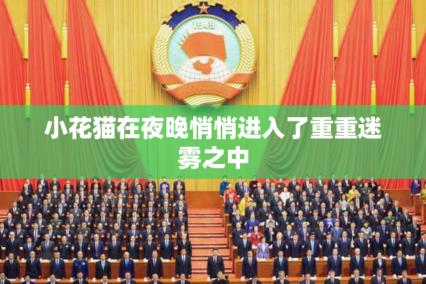 小花猫在夜晚悄悄进入了重重迷雾之中