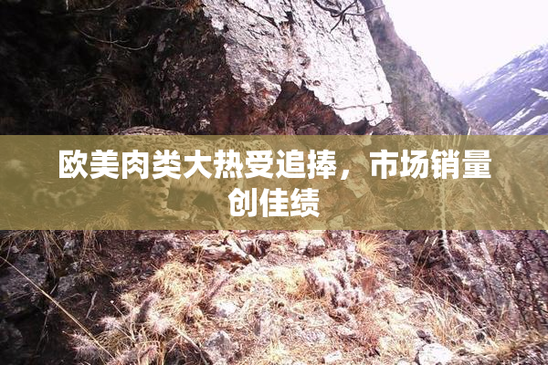 欧美肉类大热受追捧，市场销量创佳绩