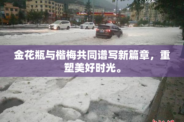 金花瓶与楷梅共同谱写新篇章，重塑美好时光。