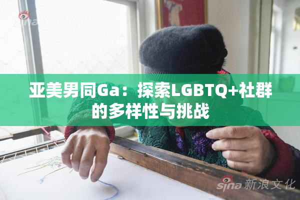 亚美男同Ga：探索LGBTQ+社群的多样性与挑战