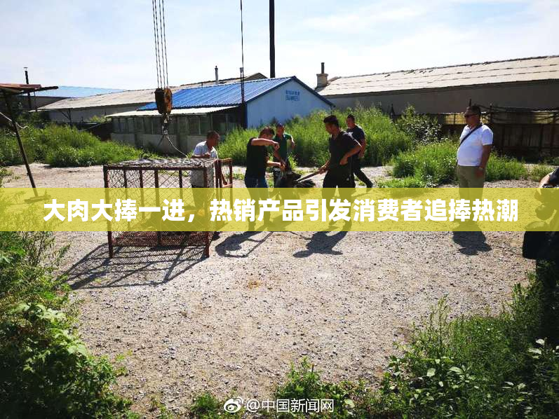 大肉大捧一进，热销产品引发消费者追捧热潮