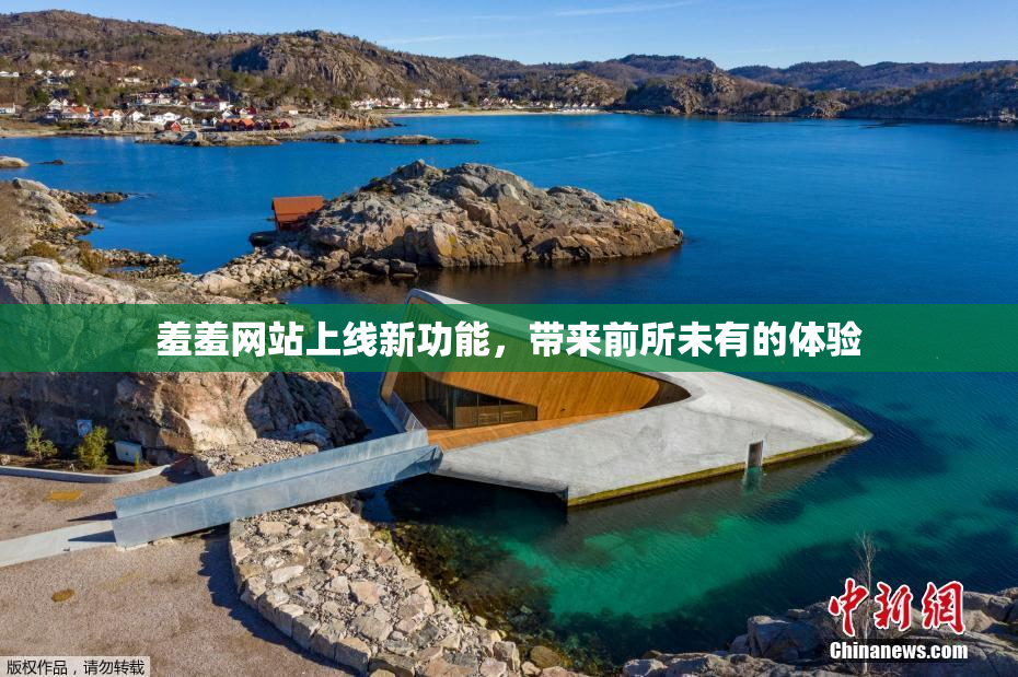 羞羞网站上线新功能，带来前所未有的体验