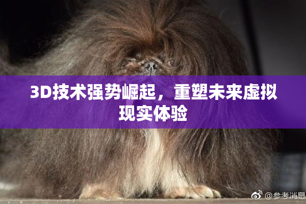 3D技术强势崛起，重塑未来虚拟现实体验