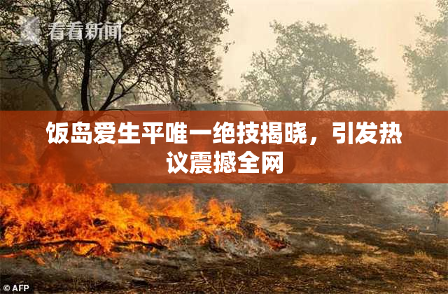 饭岛爱生平唯一绝技揭晓，引发热议震撼全网