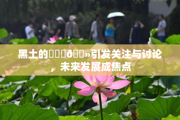 黑土的❌‌‌🐻引发关注与讨论，未来发展成焦点