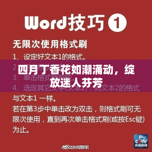 四月丁香花如潮涌动，绽放迷人芬芳