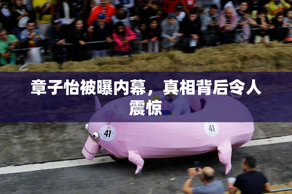 章子怡被曝内幕，真相背后令人震惊