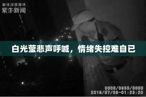 白光莹悲声呼喊，情绪失控难自已